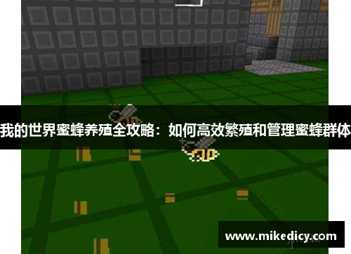 我的世界蜜蜂养殖全攻略：如何高效繁殖和管理蜜蜂群体